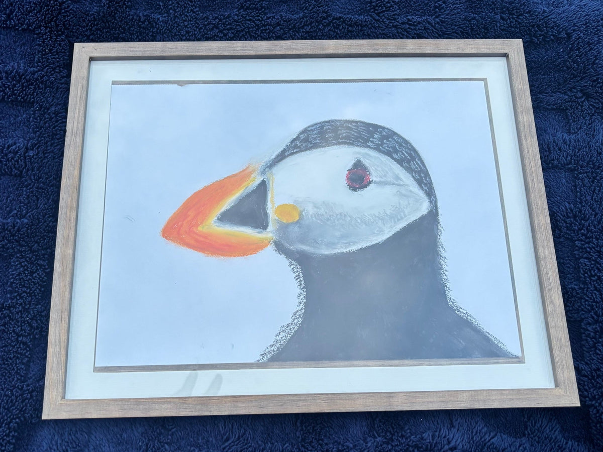 Atlantic Puffin