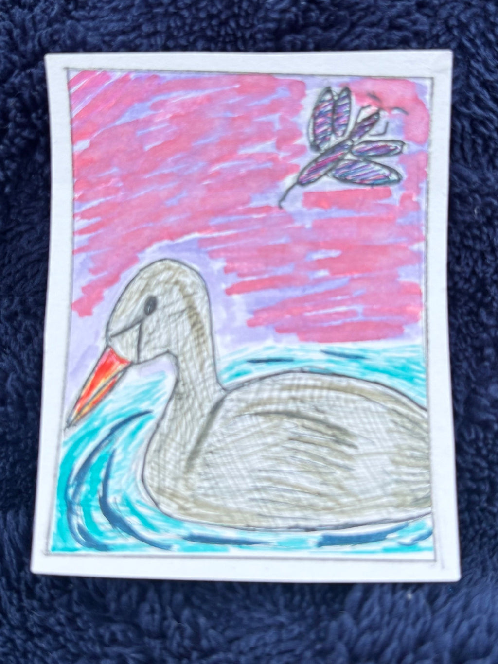 Swan On the River