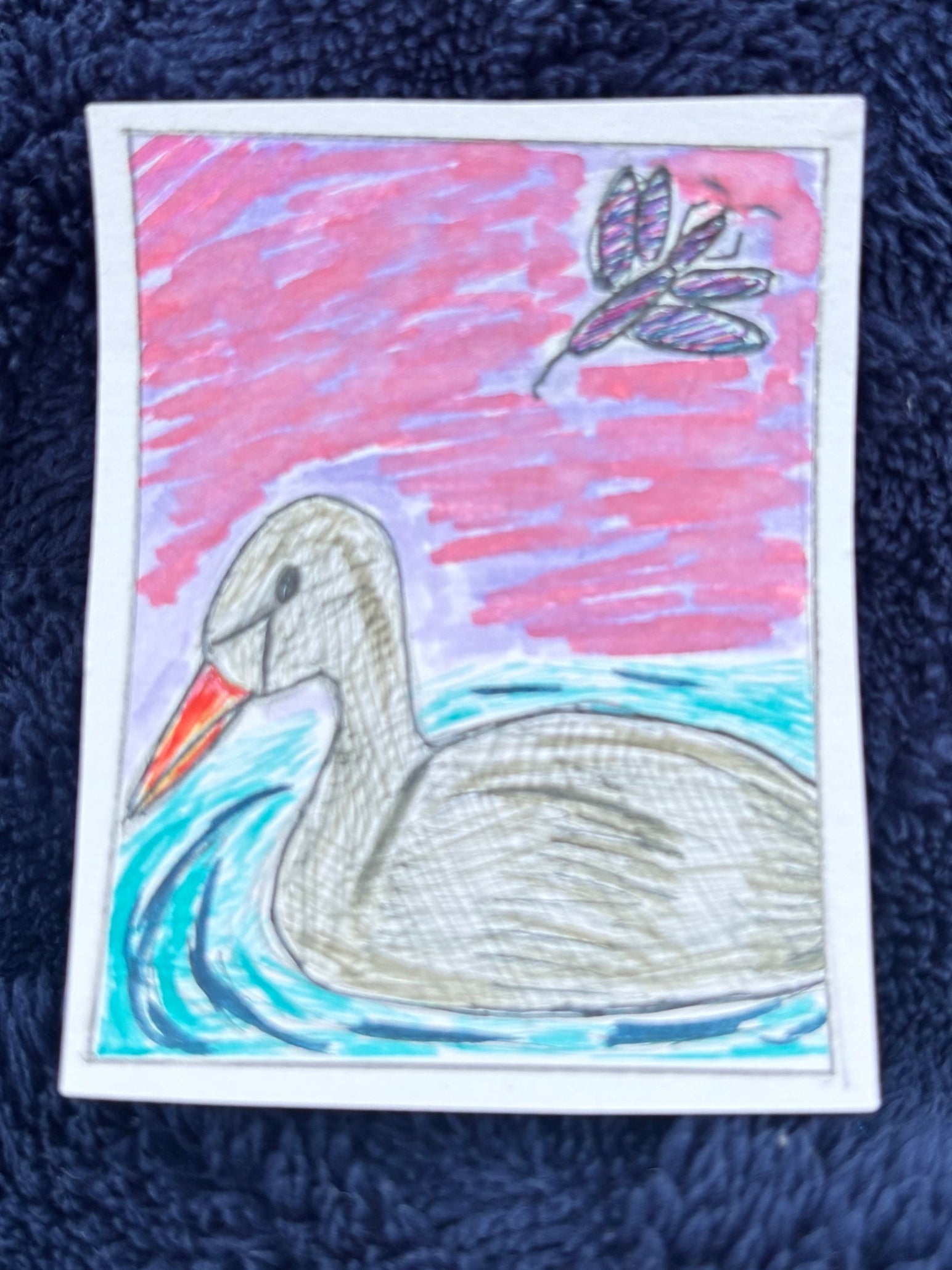 Swan On the River