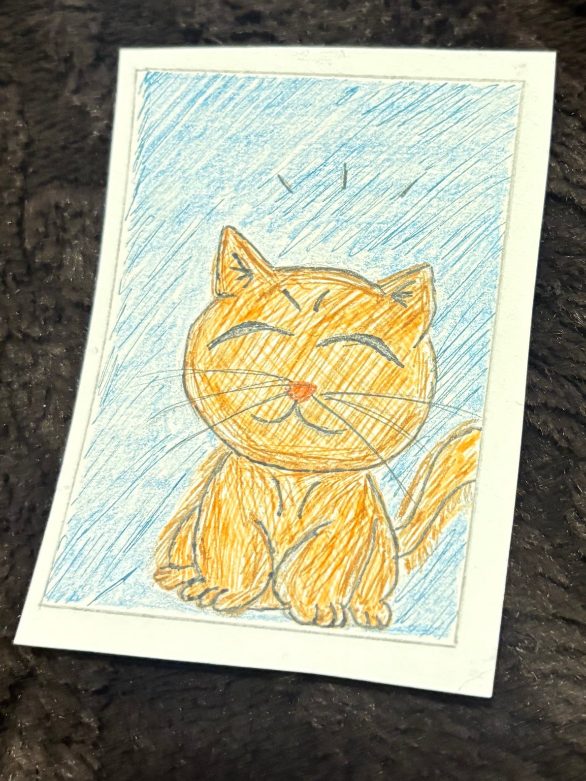 Sweet Kitty